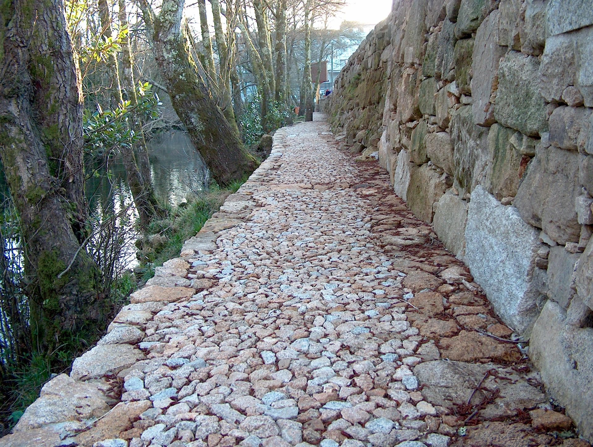 Proyectos ámbito medioambiental